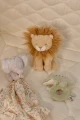 Zestaw prezentowy Safari Friends GRS Little Dutch