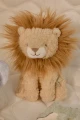 Zestaw prezentowy Safari Friends GRS Little Dutch
