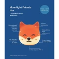 Moonlight Friends - Lis NOX lampka stojąca - Rabbit & Friends