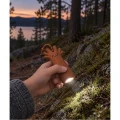 Minilatarka - Drzewo TED - seria FOREST - Rabbit & Friends